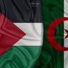 Фото профиля Abdelassit Meg
