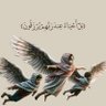 Фото профиля اسماعيل حمدي