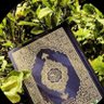 تِـلاَوُاتُ خَاشِـعَةً🍃 profil fotoğrafı