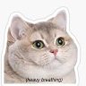 Profilbild von Heavy Breathing Cat