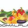 Profilbild von info DOMALPLA