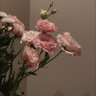 Aliaa.. profil fotoğrafı