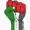 Profilbild von Mohamad Dbouk