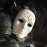 The Matron of Ravens's profile picture