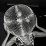 Crypto Disco🪩's profile picture