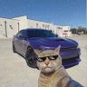 𓃬 𝐀𝐇𝐌𝐄𝐃 profil fotoğrafı