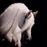 رايق أحب الهدوء's profile picture