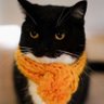 Flibble profil fotoğrafı