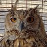 nayef 128 profil fotoğrafı