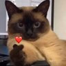 L's profile picture