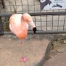 Фото профиля ホースの泉