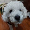 José Meza 🌧️'s profile picture