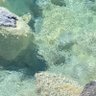 よるこ 的头像