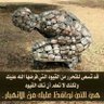الصادق جلالي's profile picture