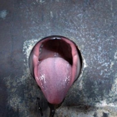 midwestGloryHo's profile picture