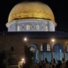 FREE PALESTINE profil fotoğrafı
