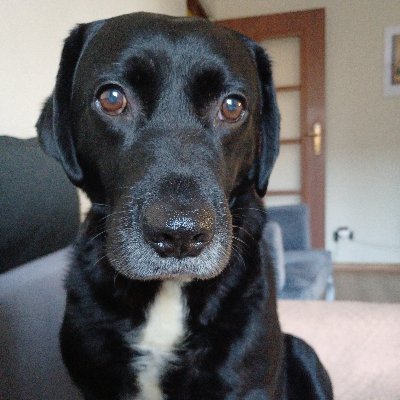 DeBest539800's profile picture