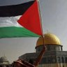 ɥ ɟ x z z · ɹ🇵🇸FREEPALESTINE profil fotoğrafı