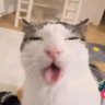 dani's profile picture