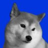 一般通過ホモ's profile picture