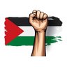 Jana Ahmed's profile picture