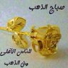 Slb Nour 的头像