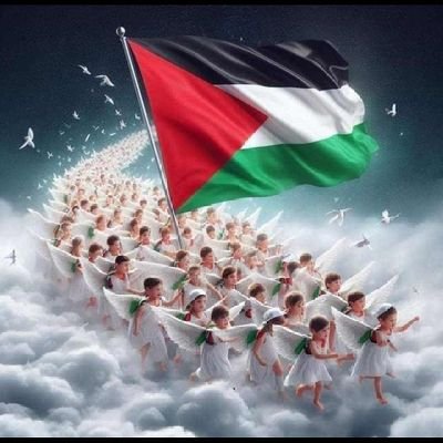 Usman Akasia's profile picture