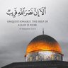 Фото профиля Mohamed Hashim