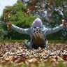 Amine Amedjoudj's profile picture