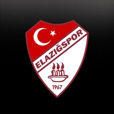 elazigspororgtr's profile picture