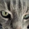 Profilbild von L