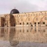 زهرة المدائن 的头像