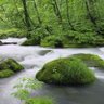 Фото профиля Abdullah hamed