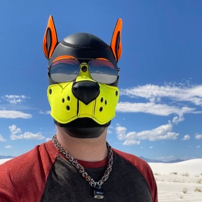 thelittlezap's profile picture