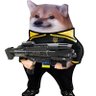 Scampbell 的头像