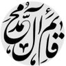 ali ahmadi's profile picture