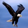 🏁🇹🇷🦅KARAKARTAL 🦅🇹🇷🏁 profil fotoğrafı