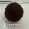 ●てぃらこ●'s profile picture