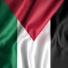 Abu Abdullah - Palestine in my heart 的头像