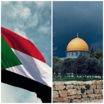 Omran97682614's profile picture