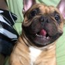 Фото профиля Braulio Luiz