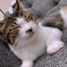 Фото профиля ムーさん