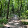 Michigan Man 的头像