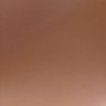 alwayshornyguy's profile picture