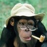 Profilbild von Stefko