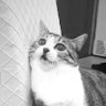 じま's profile picture