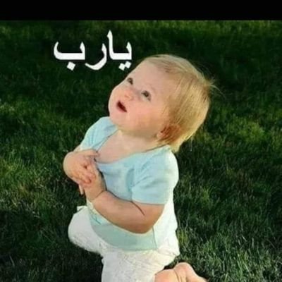 AbdehHalim's profile picture