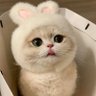 khunaoy profil fotoğrafı