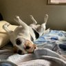 モス profil fotoğrafı
