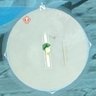 Фото профиля 我的CP已经结婚